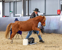 AMHS - Winter - Trail 30.06.2024