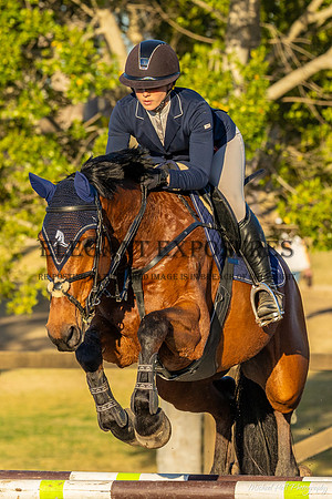 MHP_0737