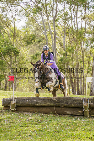 _AJG8984