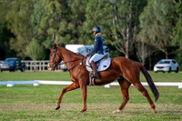 OLS_2482