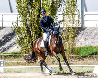 OLS_0240