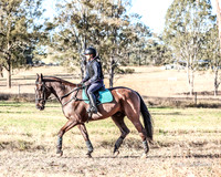 LHL_1354