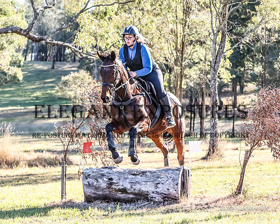 LHL_1497