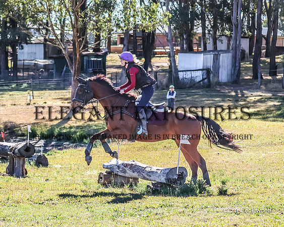 LHL_3229