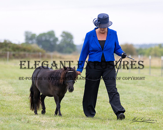 MKG_9915