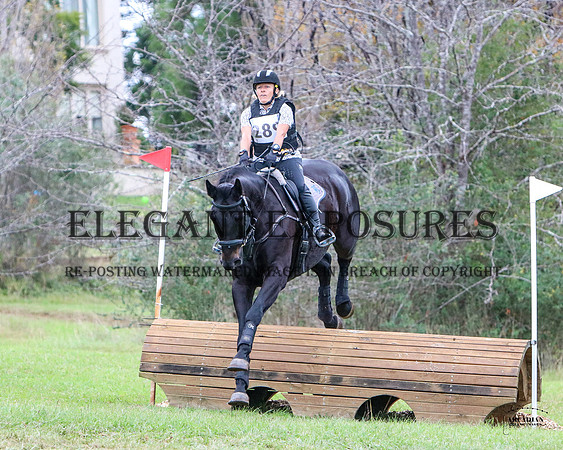 ZJD-1734