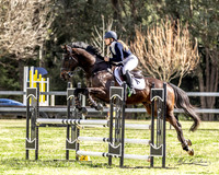Showjumping 26.08.2023