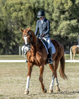 Equestriad - DR - Arena 4 26.08.2023