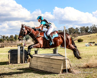 Equestriad Cross Country - Saturday - EVA80
