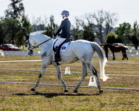 Equestriad - DR - Arena 9 26.08.2023