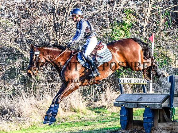 NYK_5295