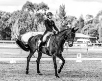 Dressage - 26.08.2023