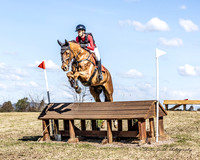 Equestriad Cross Country - Sunday - EVA95