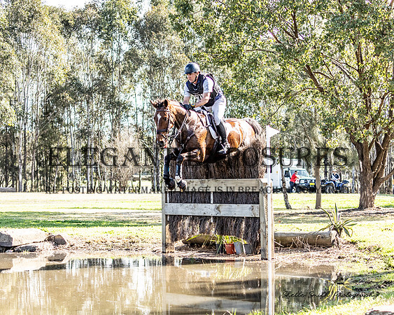 MAS_7301