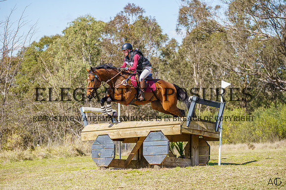 _AJG2274