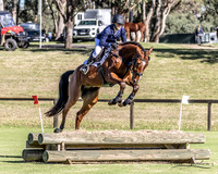 Syd 3DE - Young Horse 4 year old
