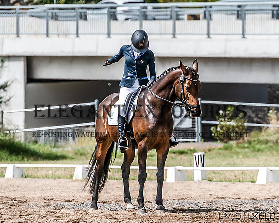 OLS_0328
