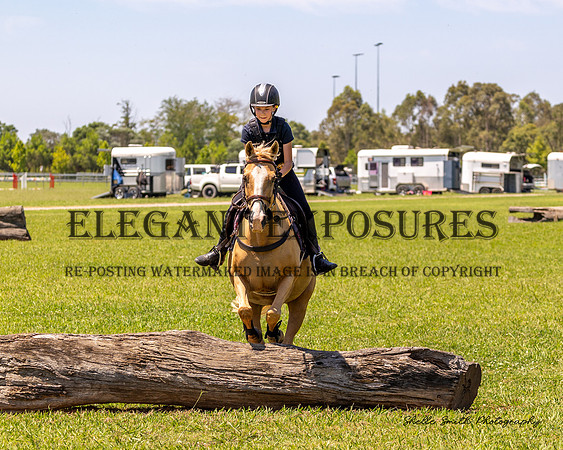 MAS_3188