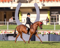 Royal Canberra Show - Friday - Ring 1 - 23.02.2024
