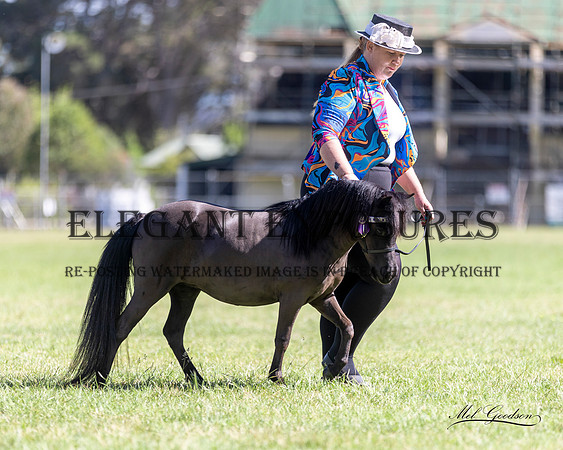 MKG_7845