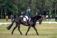 OLS_2461