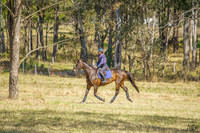 _AJG5257