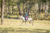 _AJG5259
