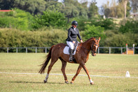 OLS_1256