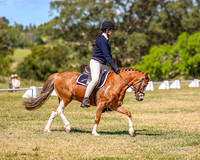 BRC Insterschools - Saturday - 05.10.2024