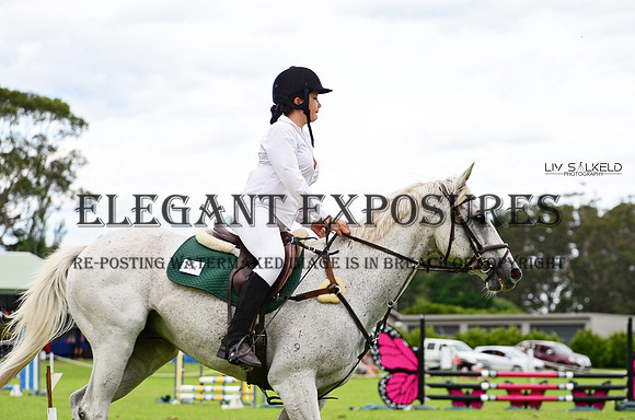 OLS_2745