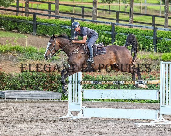 LHL(MS)-0441