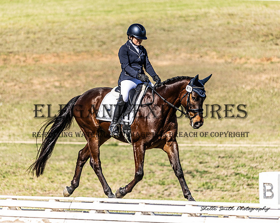 MAS_9211