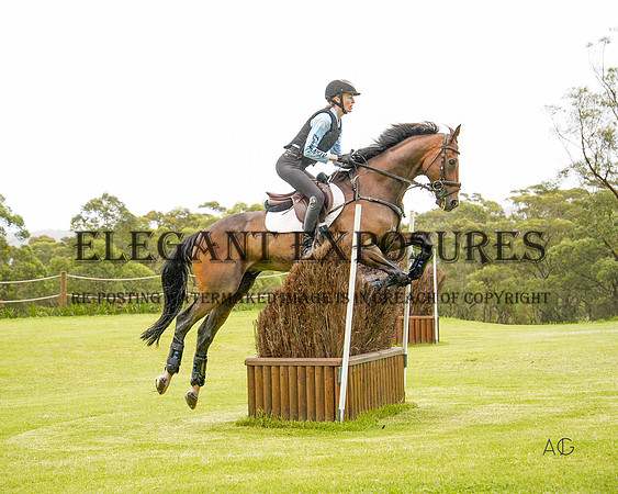 _AJG6477