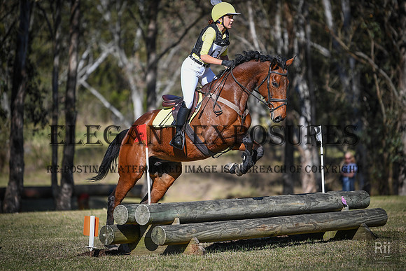 RII_3785