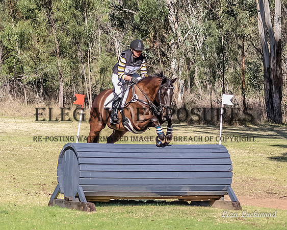 LHL(MG)-3112