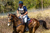 MHP_0731