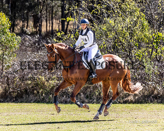 LHL(MS)_4622