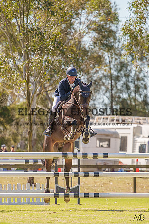 _AJG2013