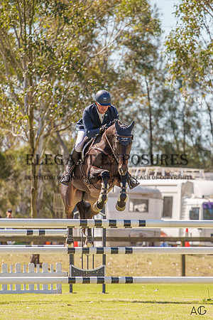 _AJG2014