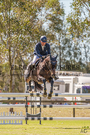 _AJG2015