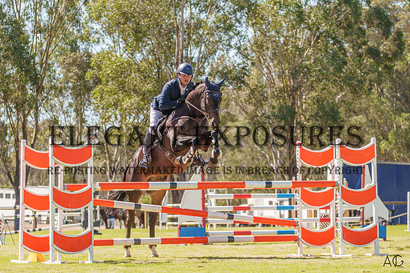 _AJG2018