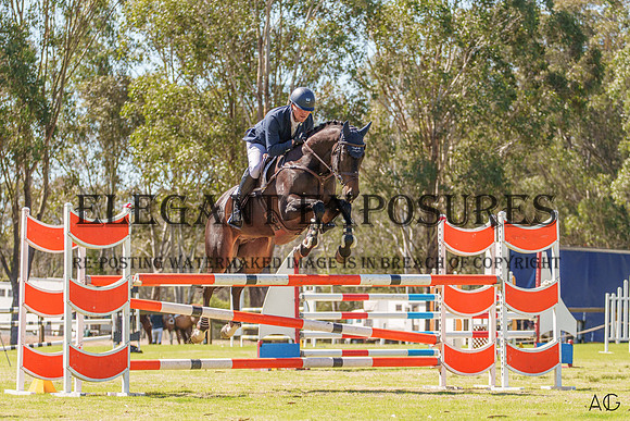 _AJG2019