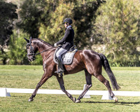 Shoalhaven Dressage Championships 10.09.2023