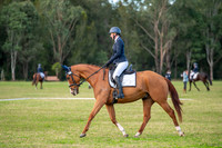 OLS_2432