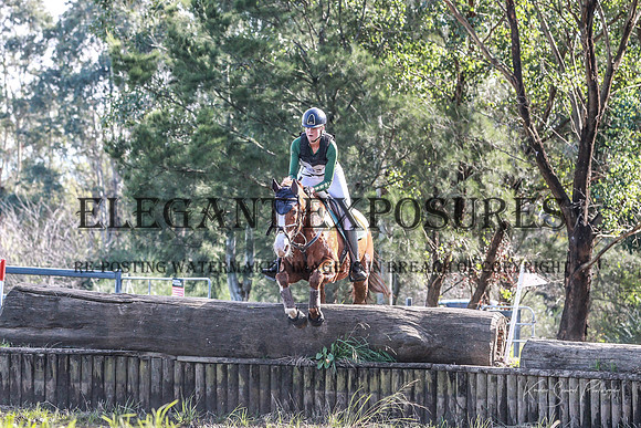 KMS-9