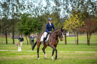 OLS_2373