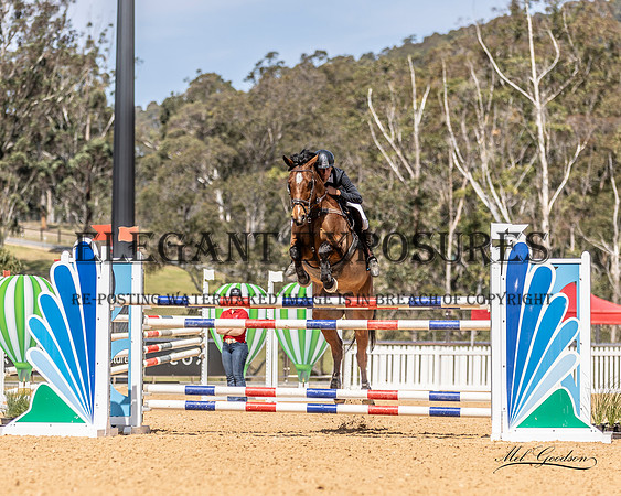 MKG_9904