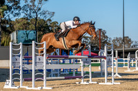 WPSJ - Ring 2 - Sat - Class 20a - 1.20m Open