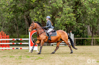 HM_8439