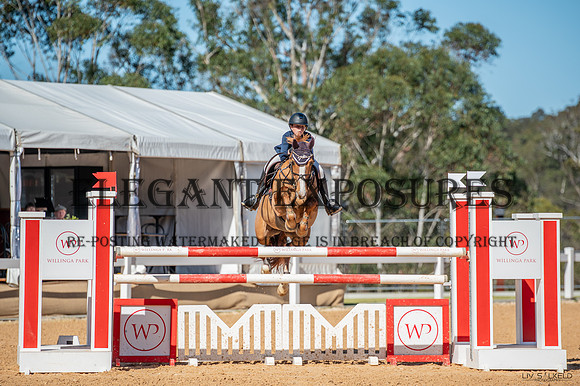 OLS_3742
